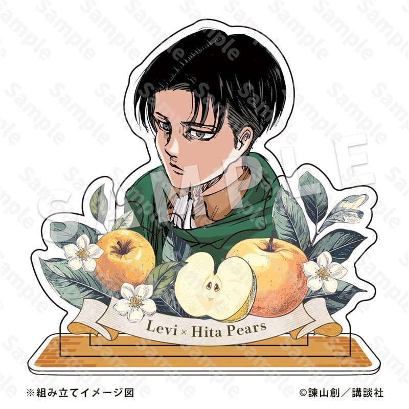 Attack on Titan Acrylic Stand  - Men Accessories For Birthday Gift recension och pris